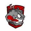team rock