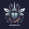 Meterpreter