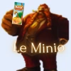Le MINIO